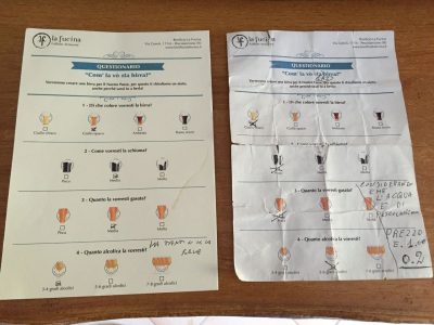 Due dei questionari compilati dagli abitanti di Pescolanciano