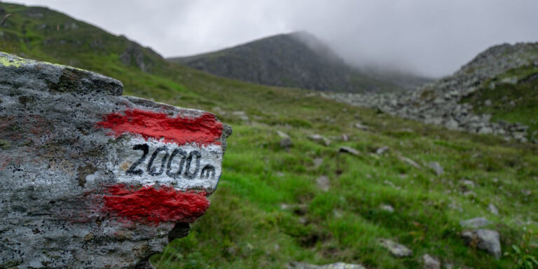 Le pietre miliari che segnano i progressi di un homebrewer