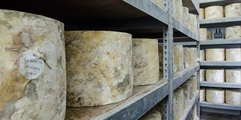 Birra e formaggi: gli abbinamenti con i Presidi Slow Food stranieri