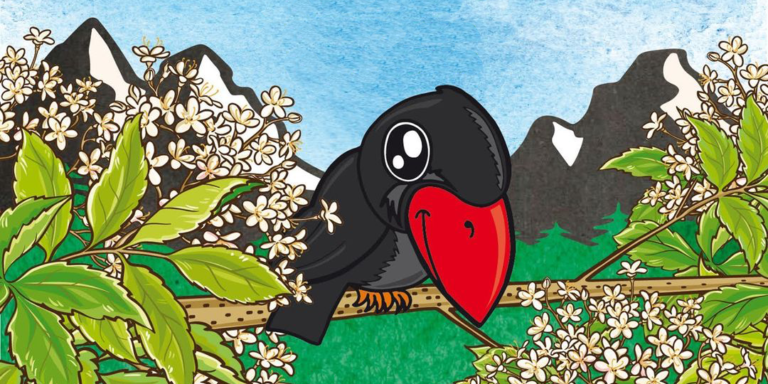 Nuove birre da Foglie d’Erba, Torre Mozza, Railroad, Contromano e 082Tre