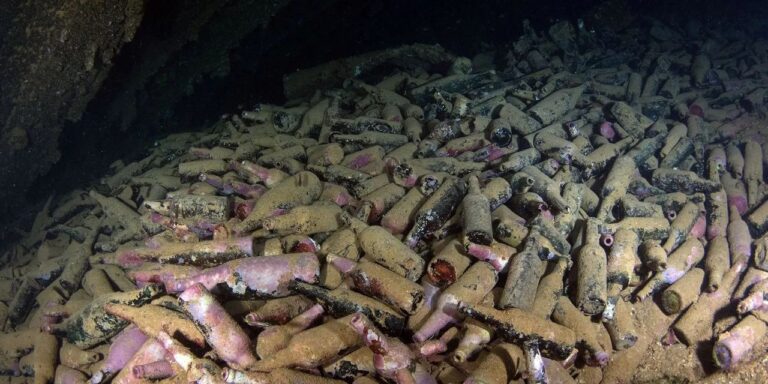 Le birre ritrovate nei fondali della Scozia e il mistero del Saccharomyces scomparso