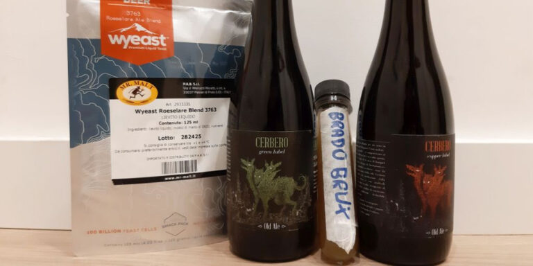 Mini guida per avvicinarsi alla produzione di birre wild e sour in casa