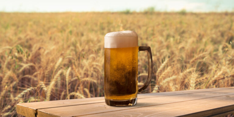 La birra artigianale cresce ed è in salute: lo confermano i dati di Toscana e Lazio