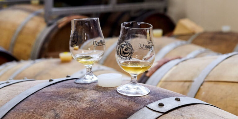 Nuove birre da Ca’ del Brado, Siemàn + Rebel’s, Shire, Busa dei Briganti + Picobrew e altri