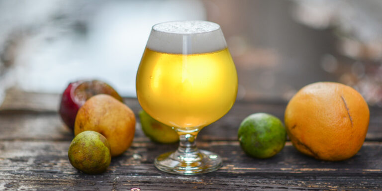 L’ascesa delle birre alla frutta negli USA: storie di successo e implicazioni produttive