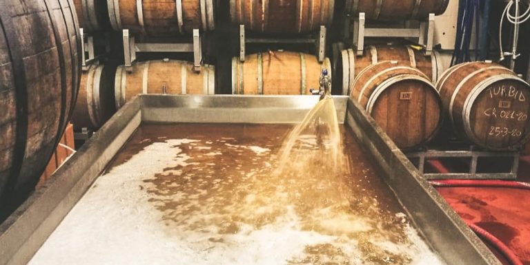Coolship e vasche di fermentazione aperte: i birrifici italiani che puntano alla tradizione
