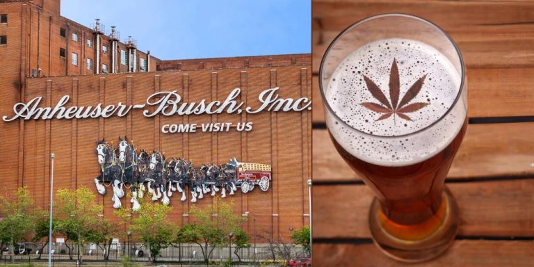 AB Inbev ha ceduto alcuni suoi marchi di birra (ex) artigianale per 85 milioni di dollari