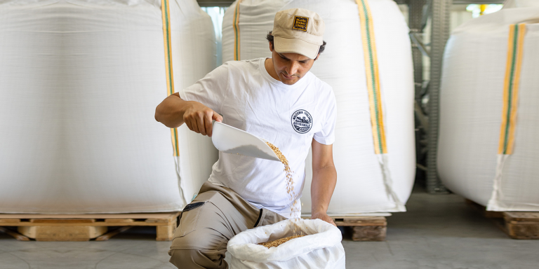 Il migliore malto Pale del mondo è italiano: oro per Malteria Italiana Artigianale (Farchioni)