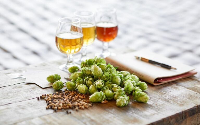 Il nuovo master sul luppolo e le altre iniziative di Formazione Birra