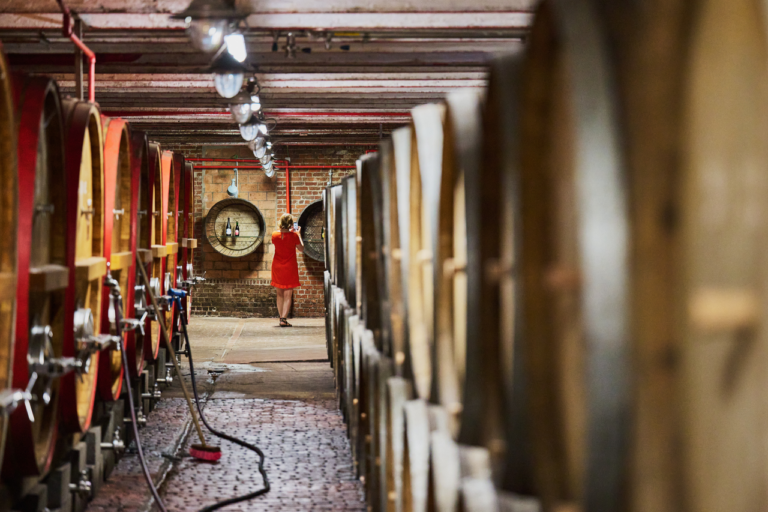Timmermans apre in Belgio il Lambicus Experience Center: un viaggio nella storia del Lambic